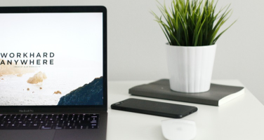 Read more about the article Design Principles for Successful Brands